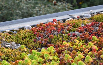 the cost of Scot Hay green roof installation