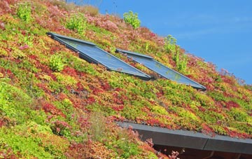 Scot Hay living roof systems
