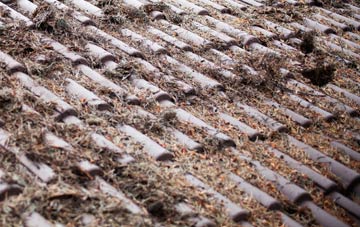 Scot Hay roof cleaning companies