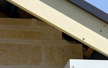 soffit repair Scot Hay